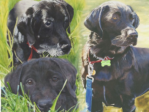 our three dogs composite smaller.