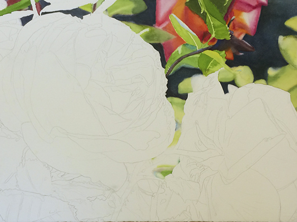 starting a new painting of roses