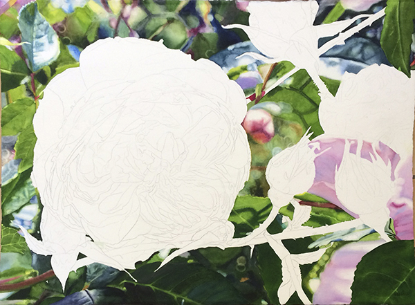 The painting I'm working on - as it is today - bringing this rose and its surroundings alive