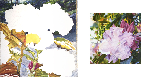 I'm making progress on the leaves in this hydrangea painting and just the final details to go on this little one of a rhody.